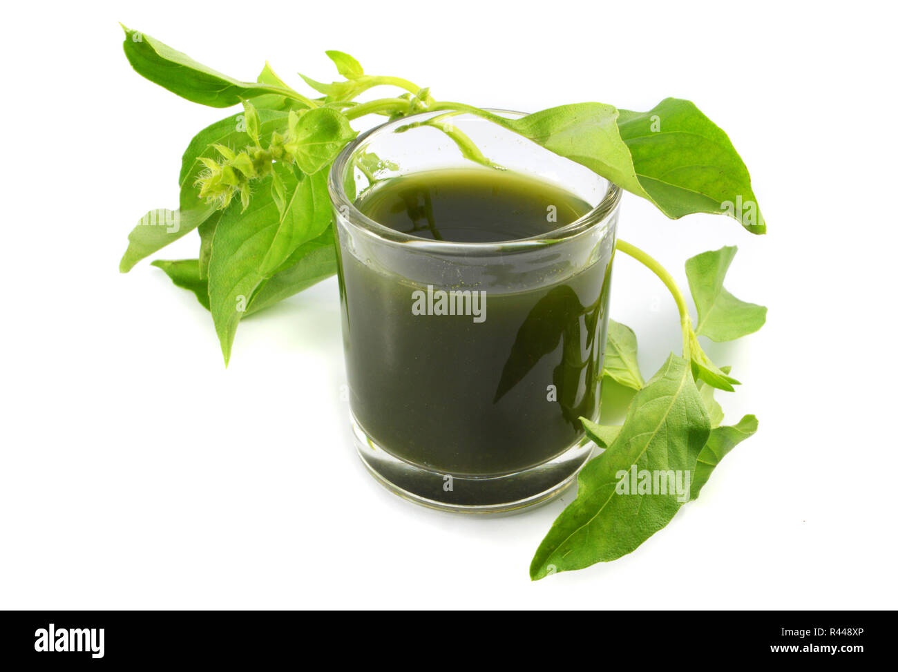 Jugo Verde
