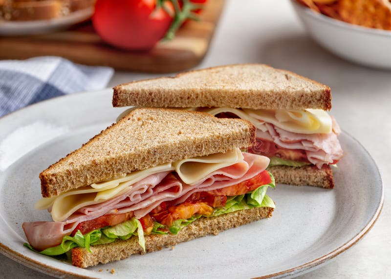 Sándwich Fitness